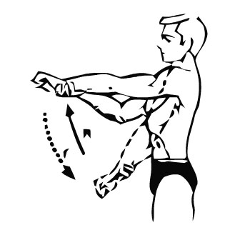 Упражнения для мышц рук плечи